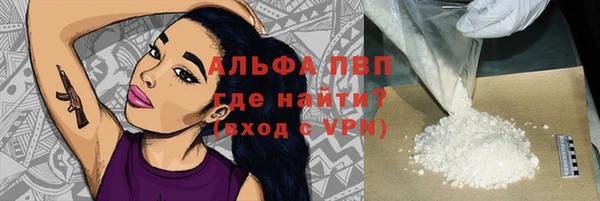 индика Верея