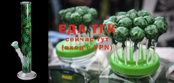 индика Верея