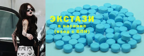 индика Верея