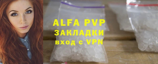индика Верея